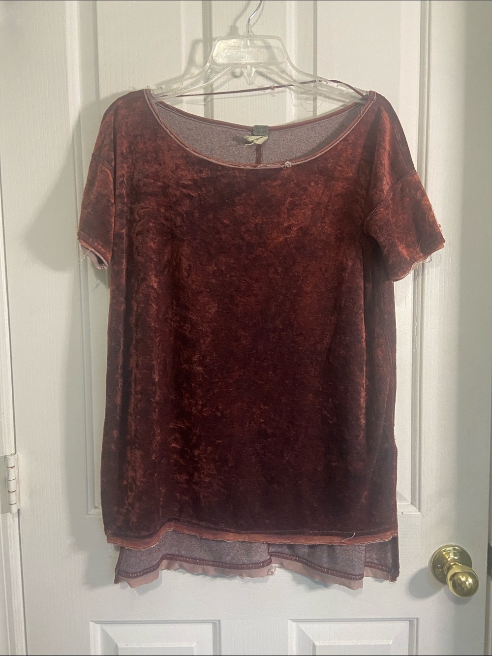 We The Free Short Sleeve Velvet Tunic - Deep Rust